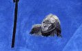 Fleece Pullover Gorilla Embroidery-M-2_800